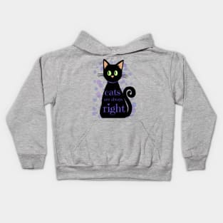 Cats are always right. Kids Hoodie